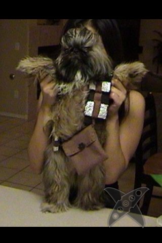 Животные в костюмах героев Звездных войн