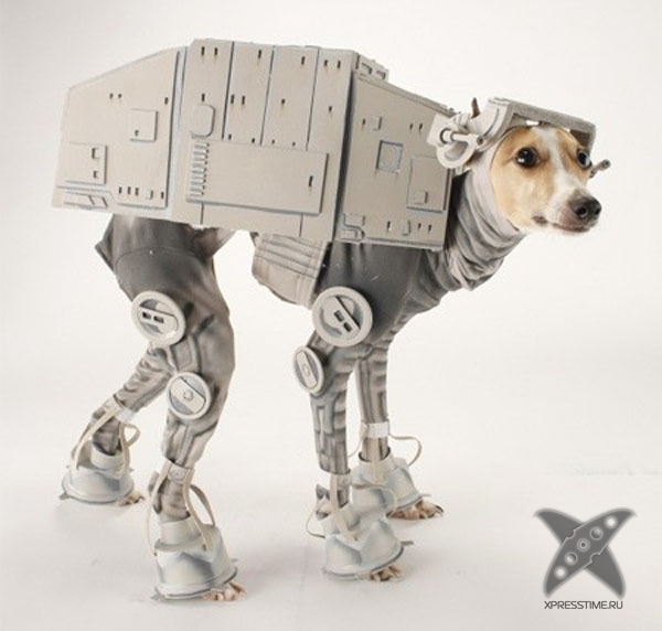 Животные в костюмах героев Звездных войн