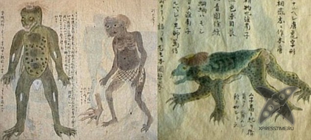 Останки японского водяного