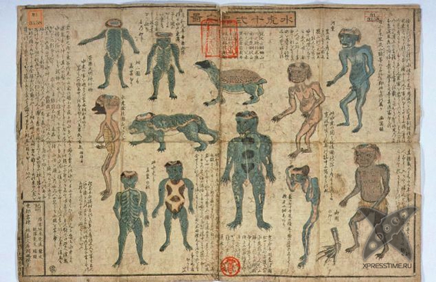 Останки японского водяного