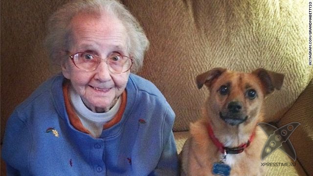 Селфи стариков