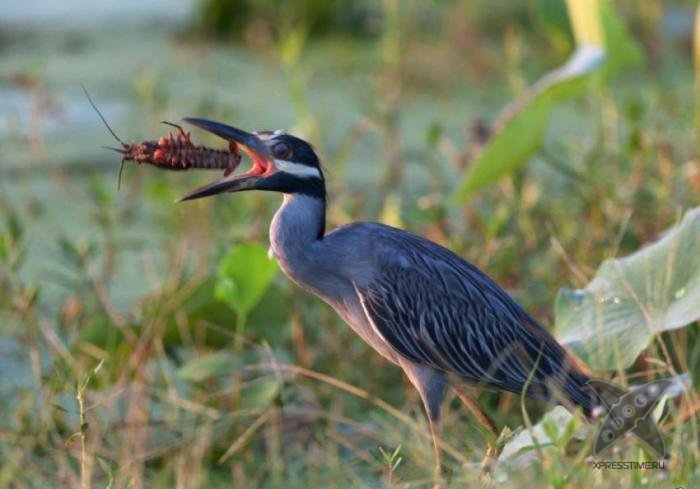 За секунду до