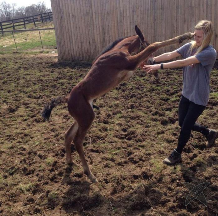 За секунду до