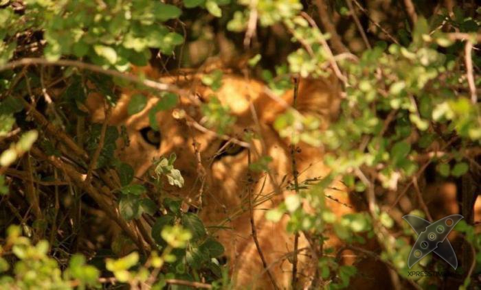 За секунду до