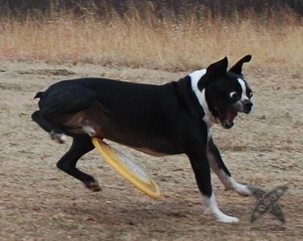 За секунду до