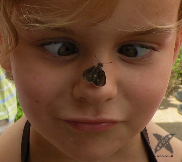 Дюжина мифов детства