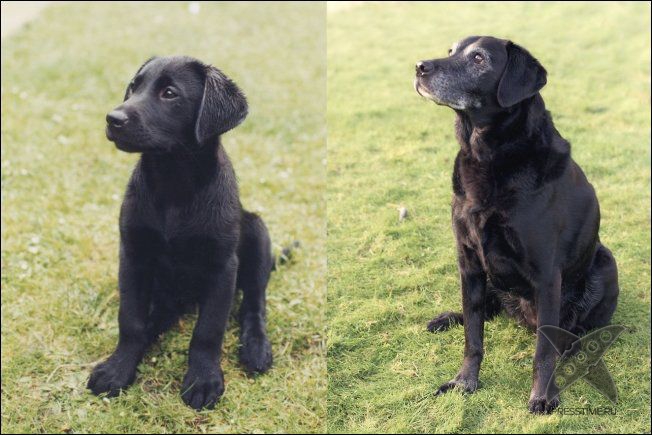 Подарок маме