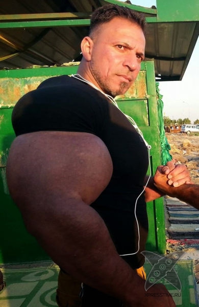 Еще один синтоловый монстр