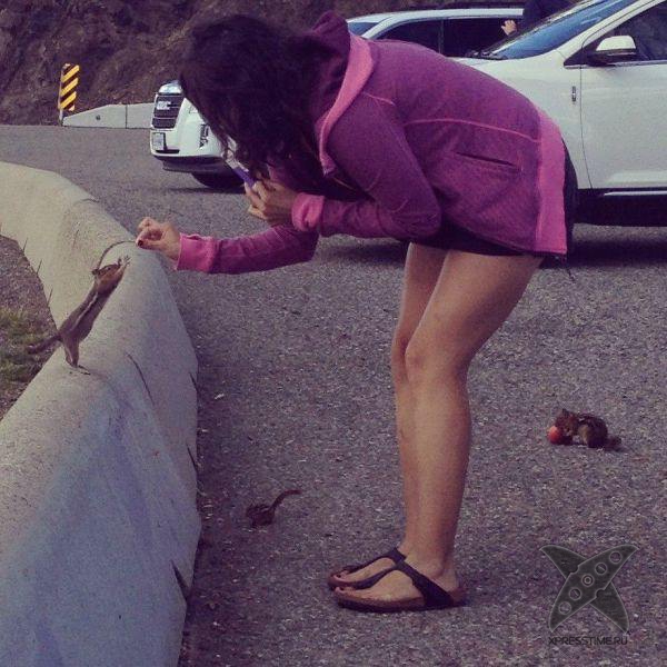 Отборный юмор 8