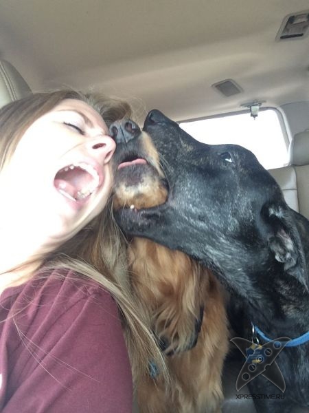 Отборный юмор 8