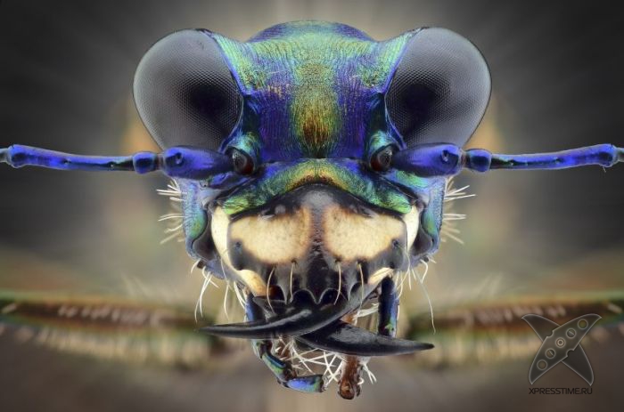 Отборный юмор 8