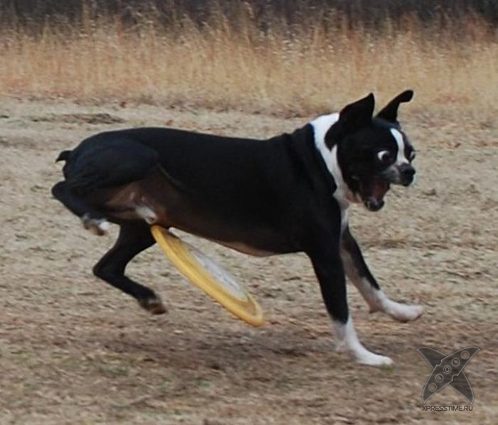 Отборный юмор 8