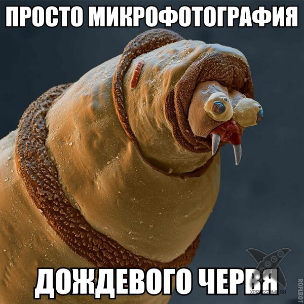 Отборный юмор 8