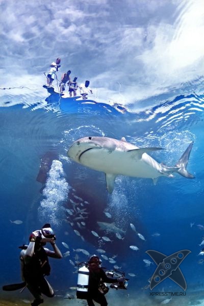 Отборный юмор 8