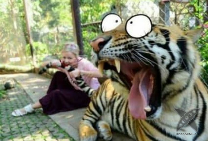 Отборный юмор 8