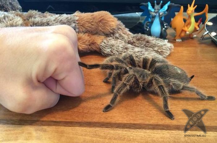 Отборный юмор 8