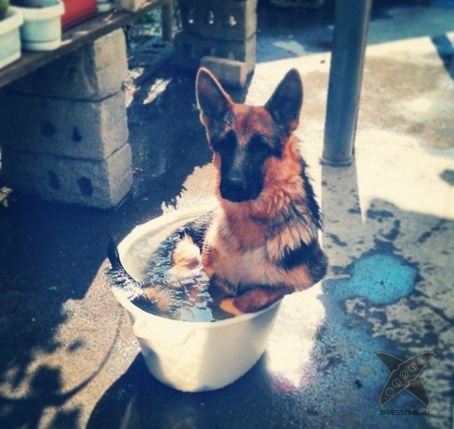 Отборный юмор 8