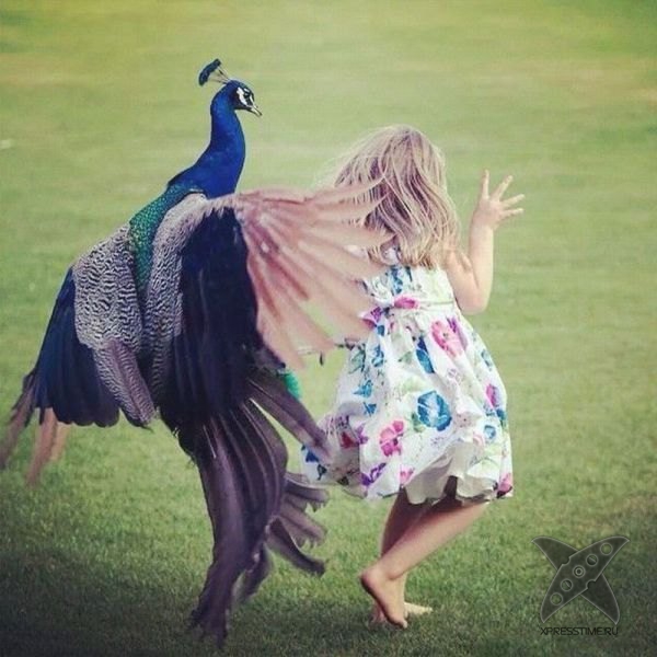 Отборный юмор 8