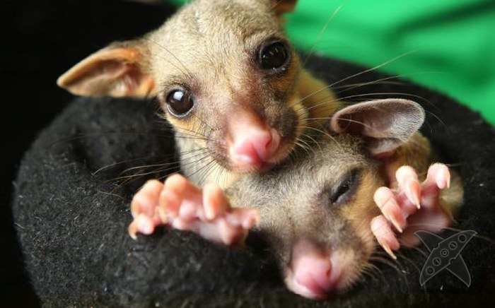 Отборный юмор 8