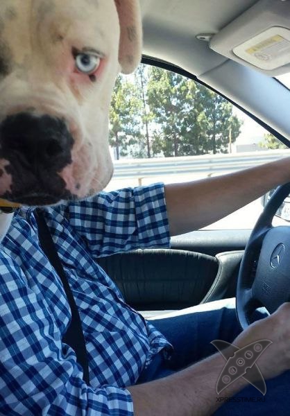 Отборный юмор 8