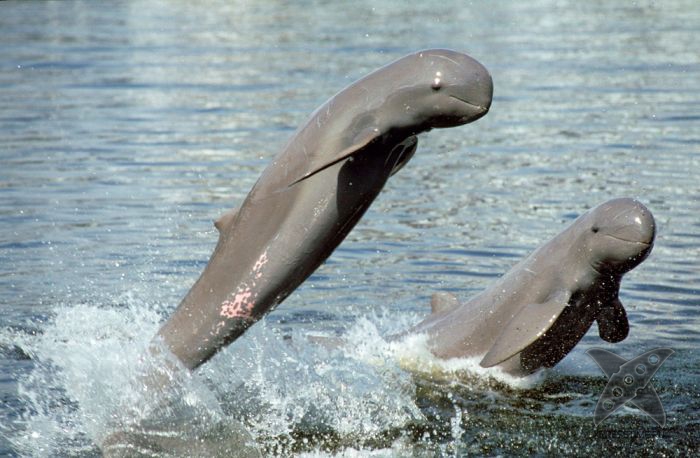 Отборный юмор 8