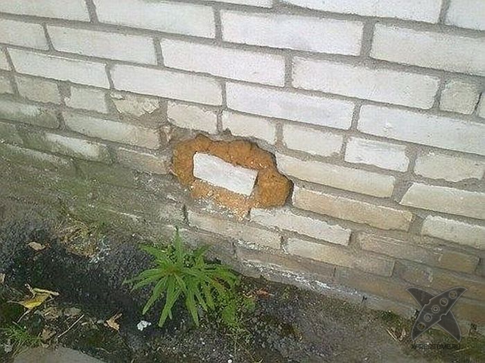 Отборный юмор 8