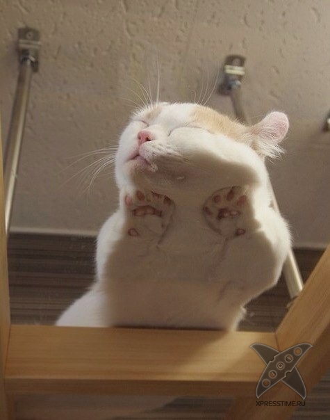 Отборный юмор 8