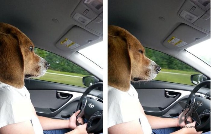 Отборный юмор 8