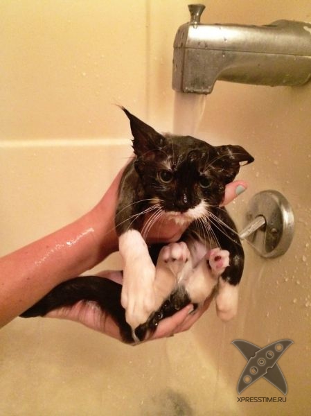 Отборный юмор 8