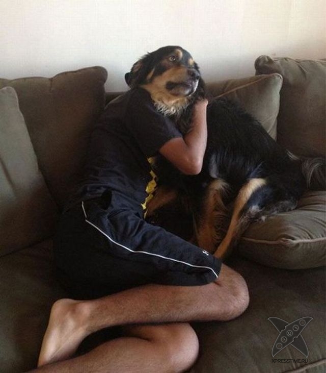 Показалось 2