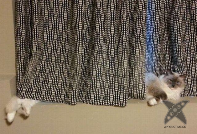 Показалось 2