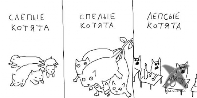 Картинки на злобу дня