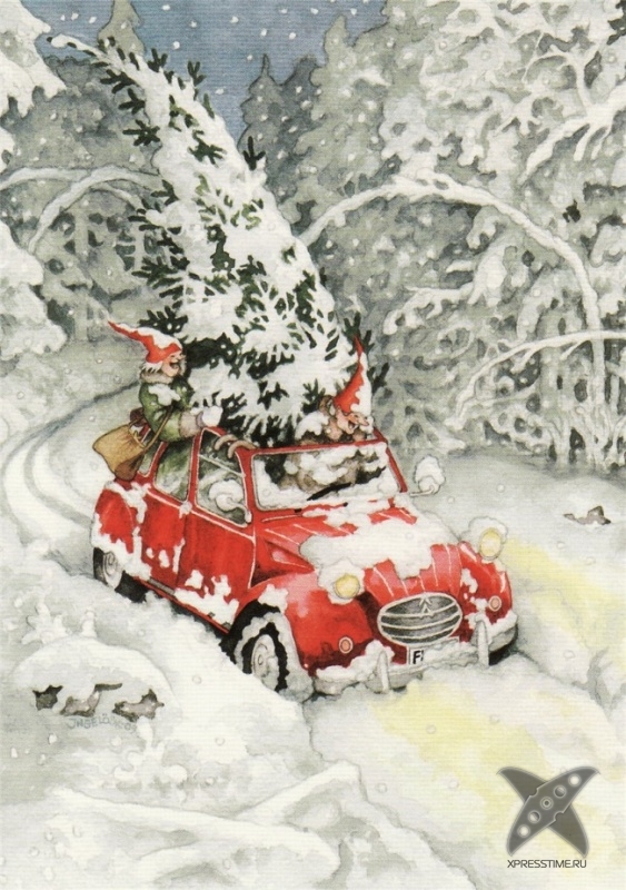 Старость в радость