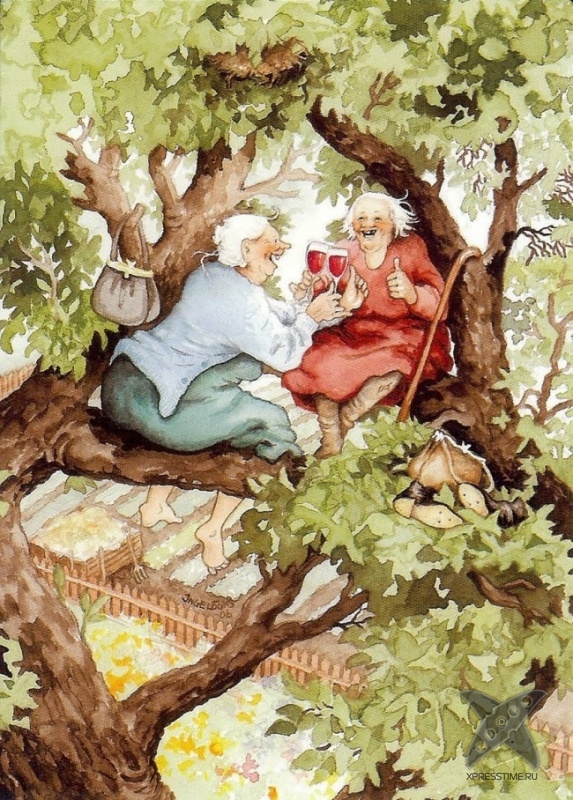 Старость в радость