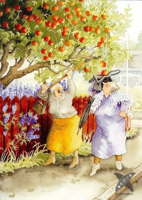 Старость в радость