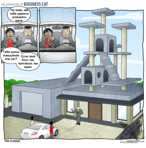 Кот - бизнесмен