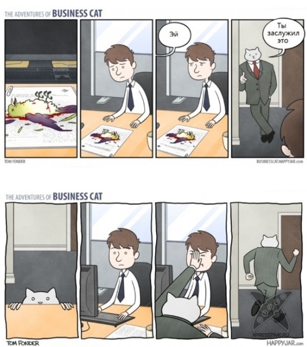 Кот - бизнесмен