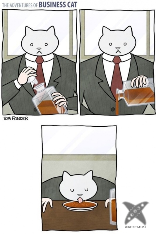 Кот - бизнесмен