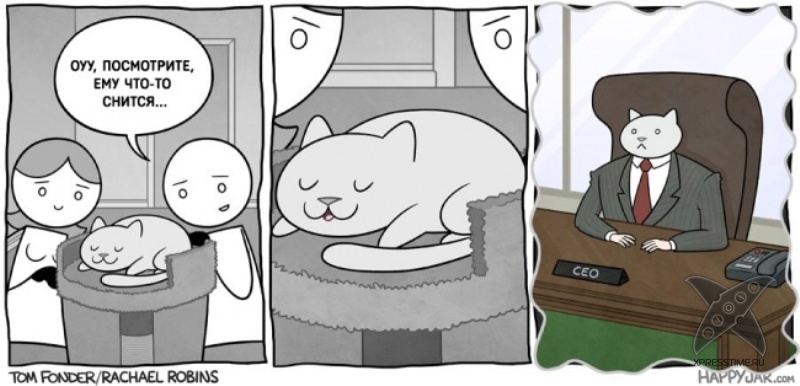 Кот - бизнесмен