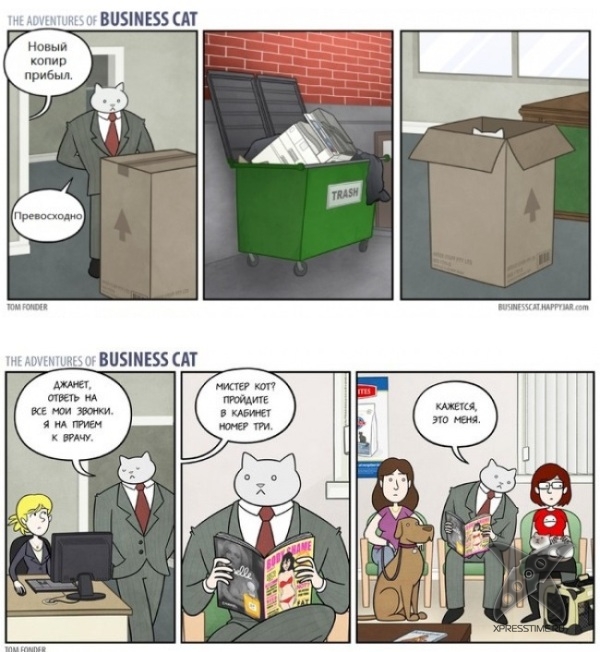 Кот - бизнесмен