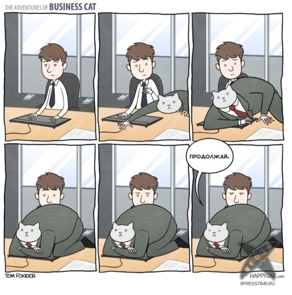 Кот - бизнесмен