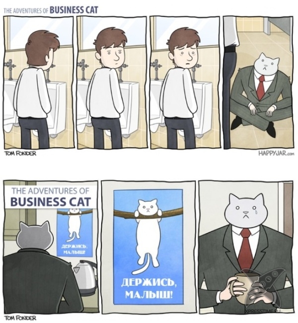 Кот - бизнесмен