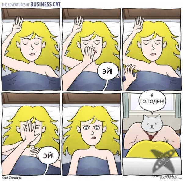 Кот - бизнесмен