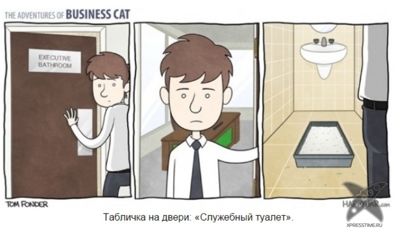 Кот - бизнесмен