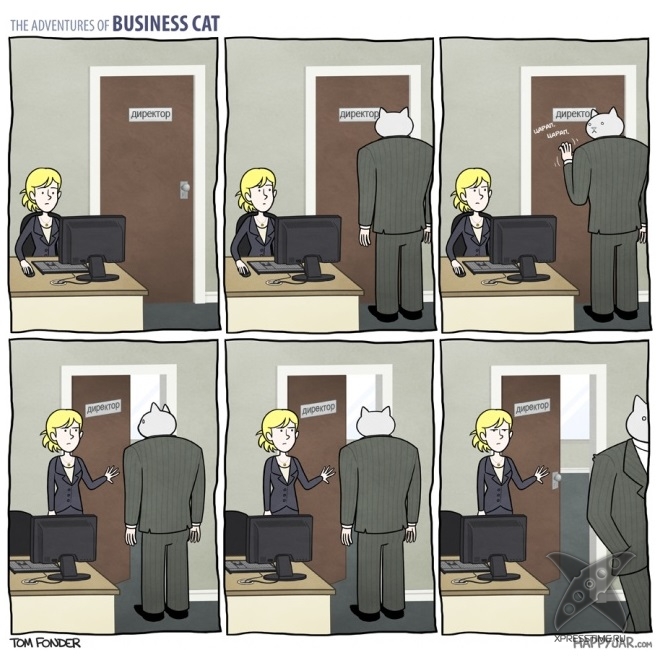 Кот - бизнесмен