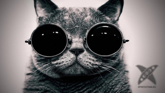 Нереально крутые животные