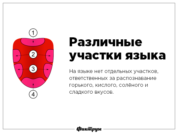 Разрушаем мифы-12