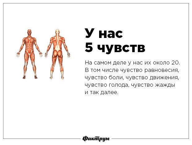 Разрушаем мифы-13