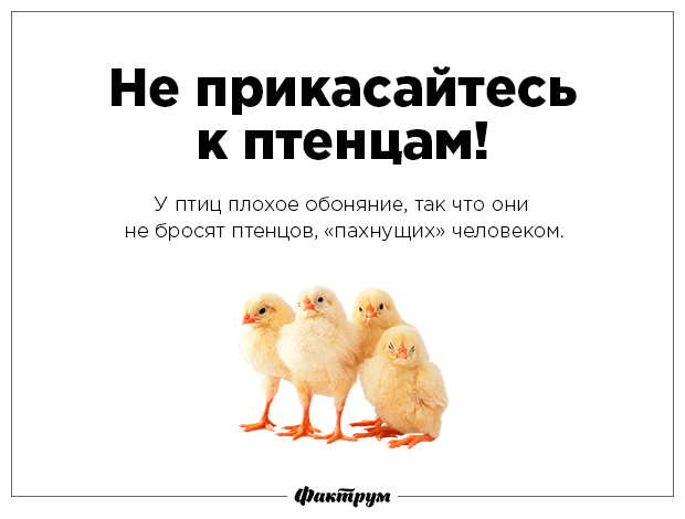 Разрушаем мифы-16