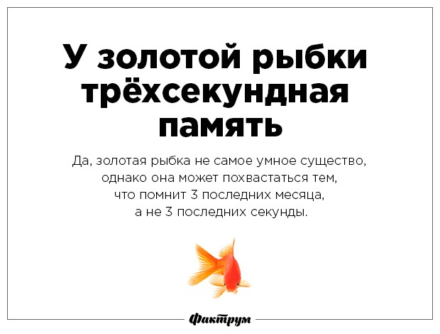 Разрушаем мифы-21